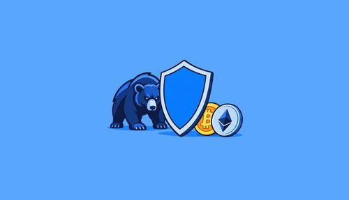 Bear Market Investing Strategies for Digital Asset Preservation